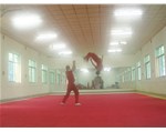 我院学子参加2013年河南省青少年传统武术锦标赛再创佳绩