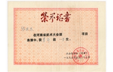 1995年获得河南省武术大会少林拳项目一等奖